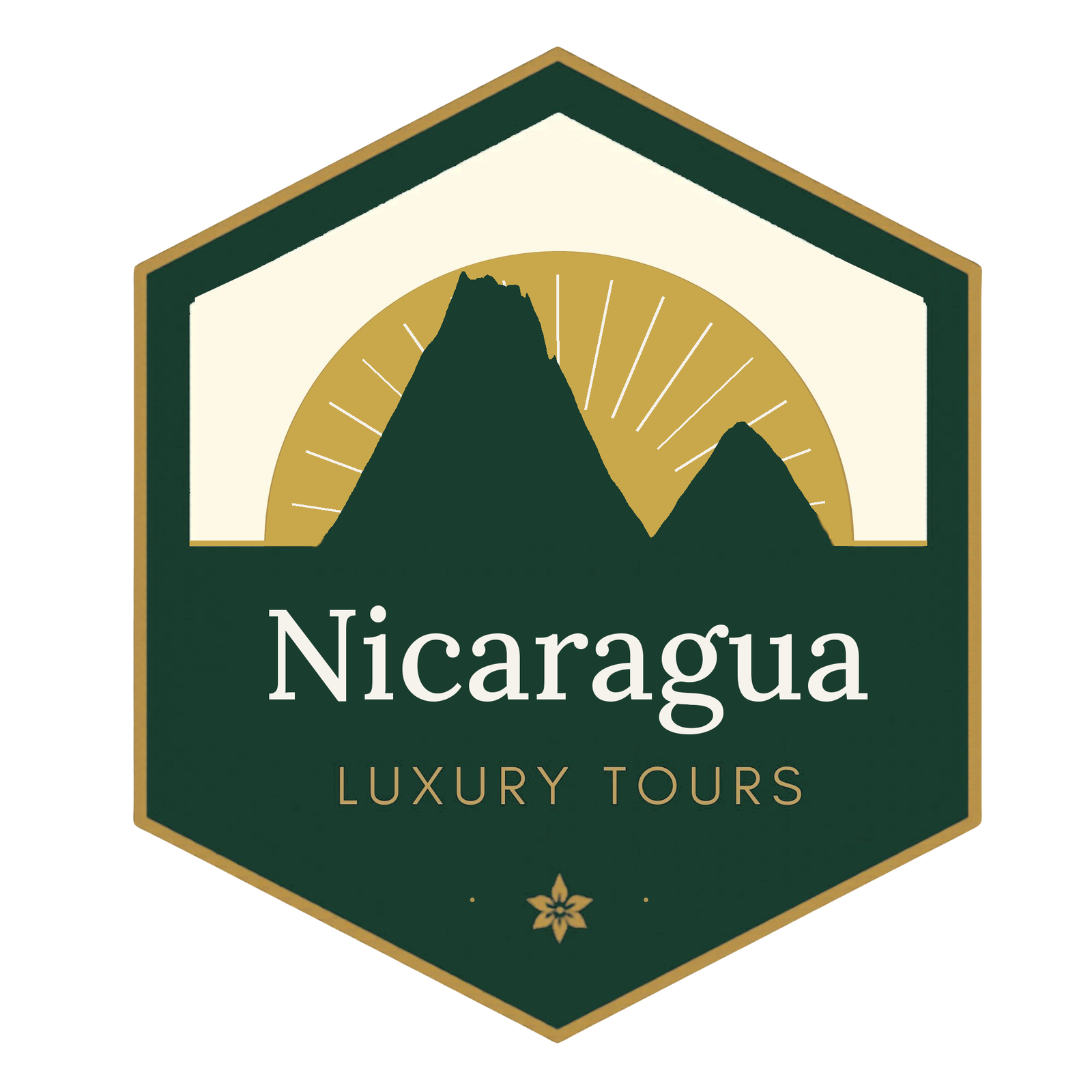 NLT LOGO