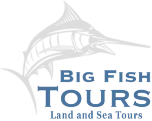 Big Fish Tours
