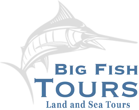 Big Fish Tours